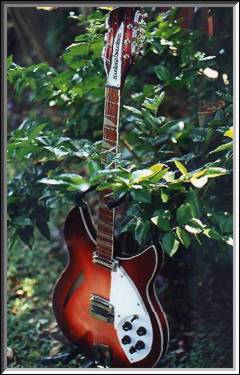 Rickenbacker 360/12V64