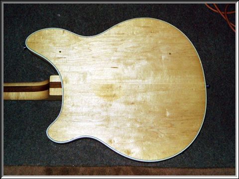 Rickenbacker Model 370/12