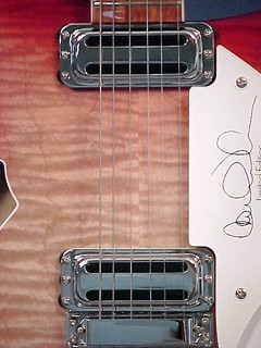 Rickenbacker 360CW "Carl Wilson"